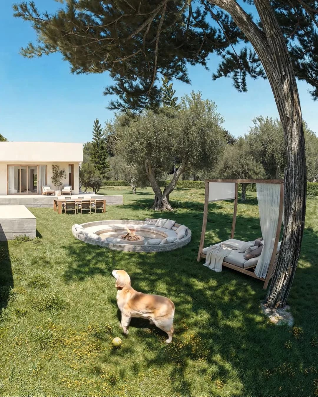 Fotograma de un perro en el jardín de una vivienda